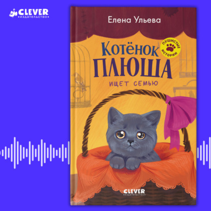Котенок Плюша ищет семью